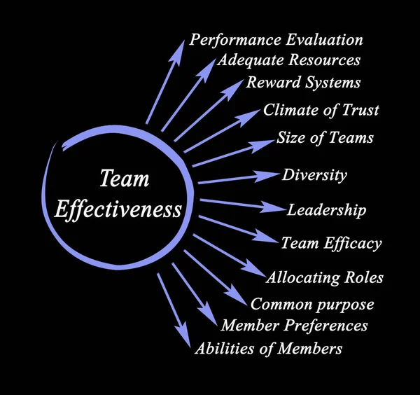 Twelve Drivers Team Effectiveness — Stock Photo, Image