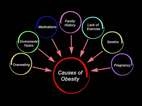 Seven Causes Obesity — Stock Photo, Image