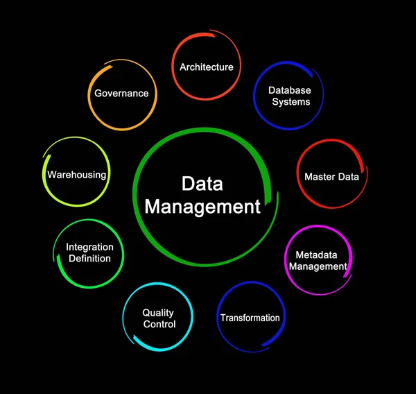 Negen Componenten Van Data Management — Stockfoto