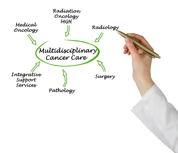 Prvky Multidisciplinární Onkologické Péče — Stock fotografie