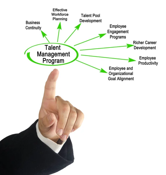 Components Talent Management Program — Stock Photo, Image