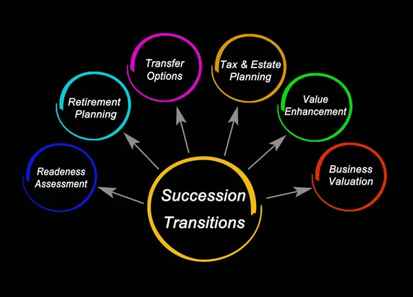 Cinco Componentes Das Transições Sucessão — Fotografia de Stock