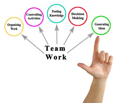 Takım çalışmasına ne gerek var??