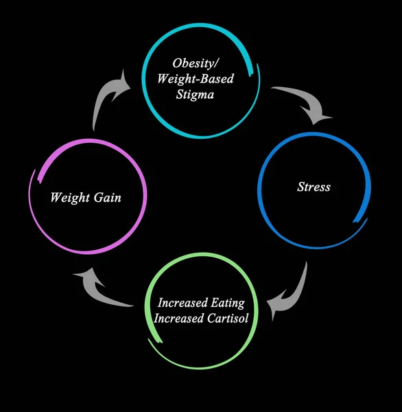 Ciclo Obesidad Estigma Basado Peso — Foto de Stock