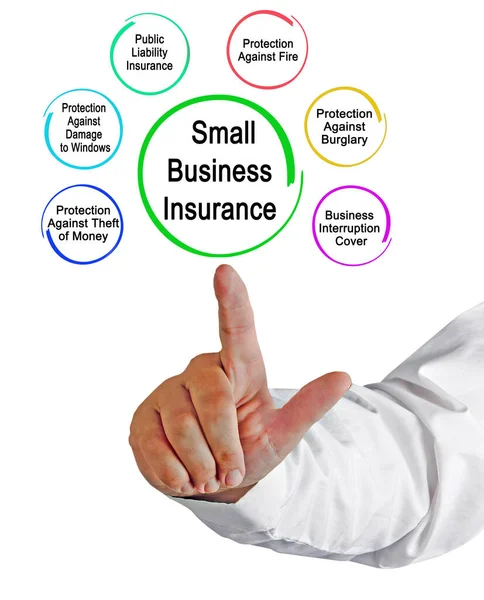 Sex Typer Småföretagsförsäkringar — Stockfoto