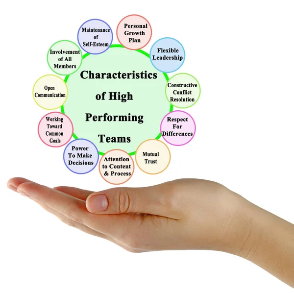 Characteristics High Performing Teams — Stock Photo, Image