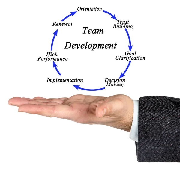 Zeven Onderdelen Van Team Development — Stockfoto