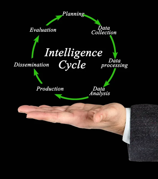 Ciclo Inteligencia Planificación Difusión — Foto de Stock