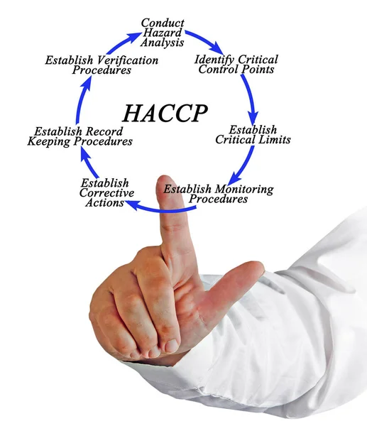 Сім Кроків Циклу Реалізації Haccp — стокове фото