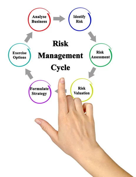 Composantes Cycle Gestion Des Risques — Photo