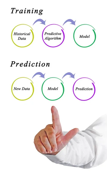 Comparaison Entre Formation Prévision — Photo