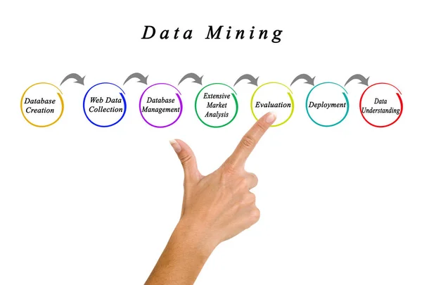 Zeven Componenten Van Datamining — Stockfoto