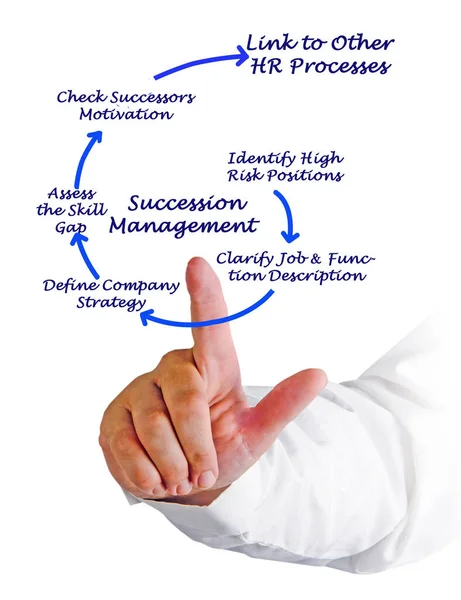Zes Componenten Van Successiemanagement — Stockfoto