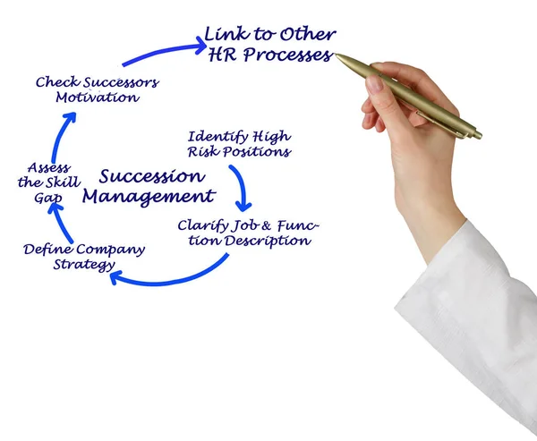 Zes Componenten Van Successiemanagement — Stockfoto