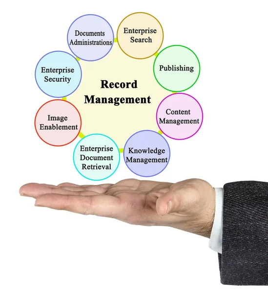 Man Presenting Record Management Diagram — ストック写真