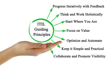 ITIL için Yedi Kılavuz İlke 