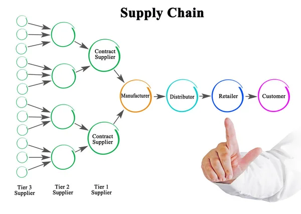 Людина Представляє Ланцюг Постачання — стокове фото