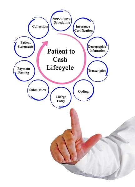 Cykl Życia Pacjenta Gotówce — Zdjęcie stockowe