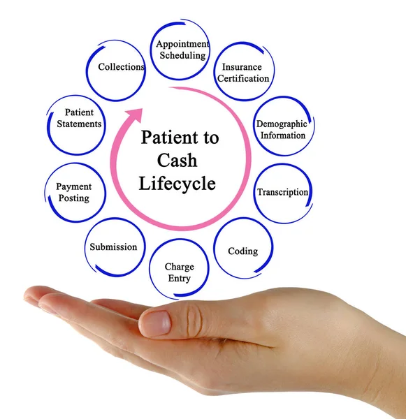 Patient to Cash Life Cycle