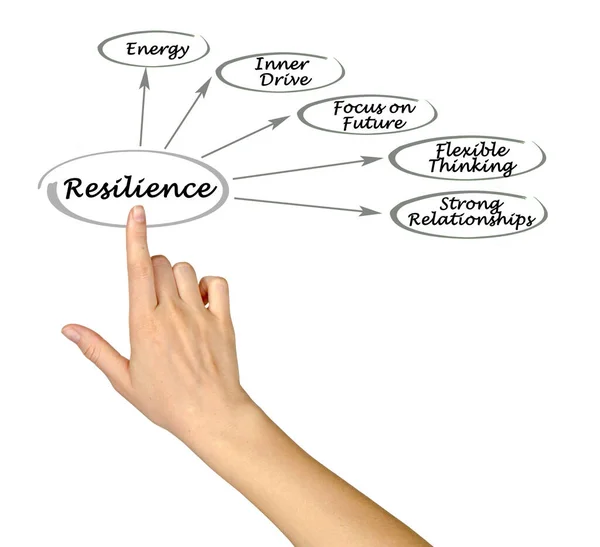Cinco Características Resiliencia — Foto de Stock