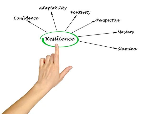 Presentamos Seis Factores Resiliencia — Foto de Stock
