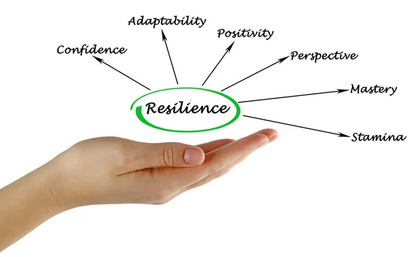 Presenting Six Drivers Resilience — Stock Photo, Image