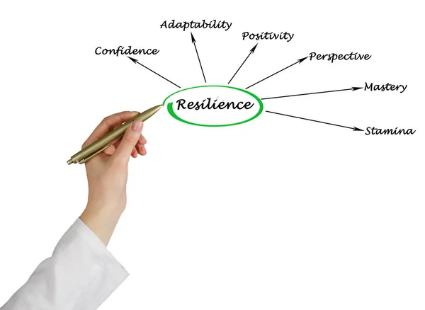 Sechs Triebkräfte Der Resilienz — Stockfoto