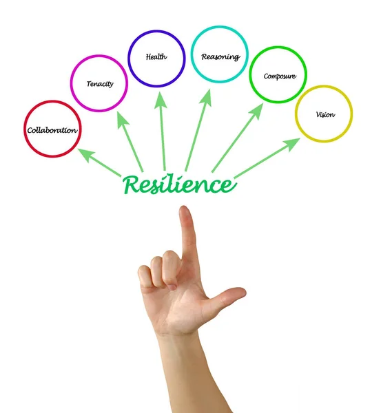 Presenting Six Factors of Resilience