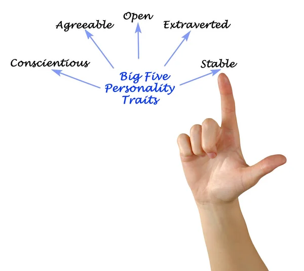 Presenting Big Five Personality Traits — Stock Photo, Image