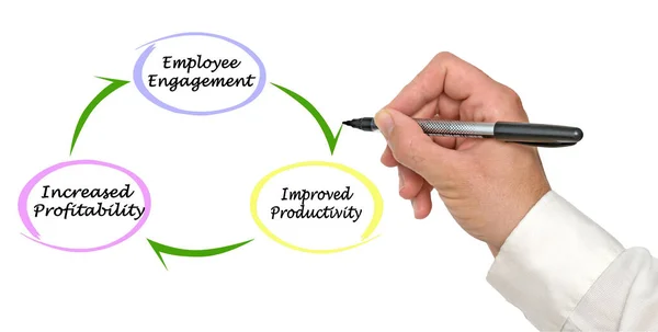 From employee engagement to increased profitability