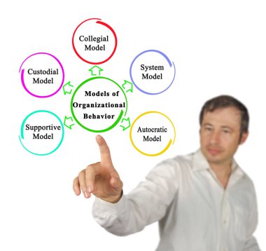 Organizasyonel Davranışın Beş Modeli