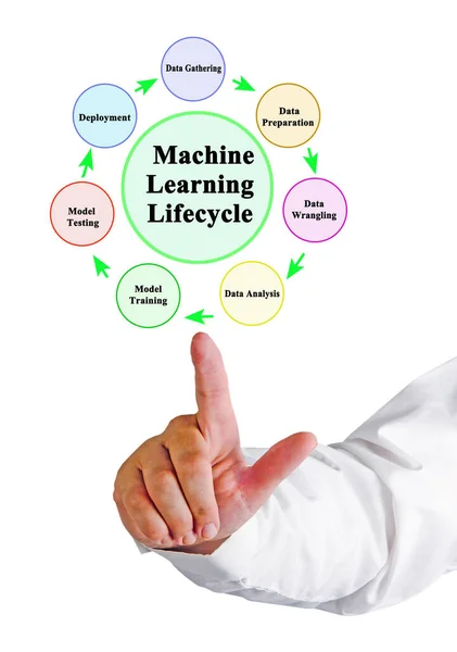 Onderdelen Van Levenscyclus Van Machine Learning — Stockfoto