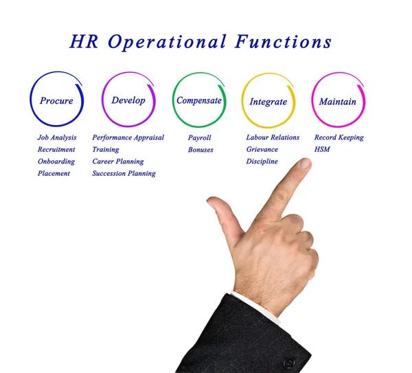 Five Functions Human Resources — Stock Photo, Image