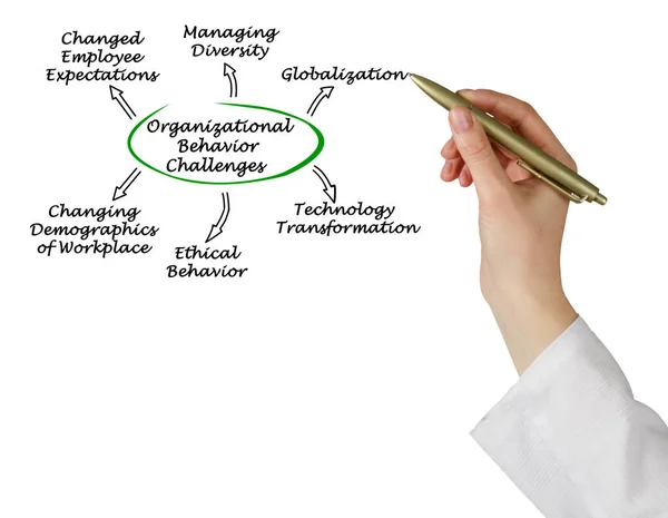 Six Challenges Organizational Behavior — Stock Photo, Image