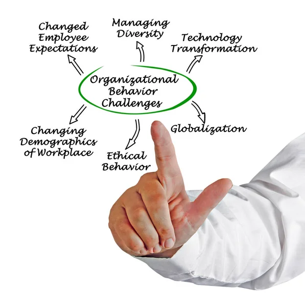 Six Challenges Organizational Behavior — Stock Photo, Image