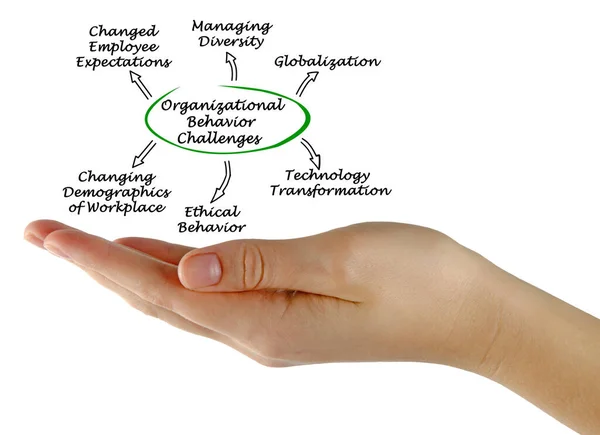 组织行为面临的六项挑战 — 图库照片