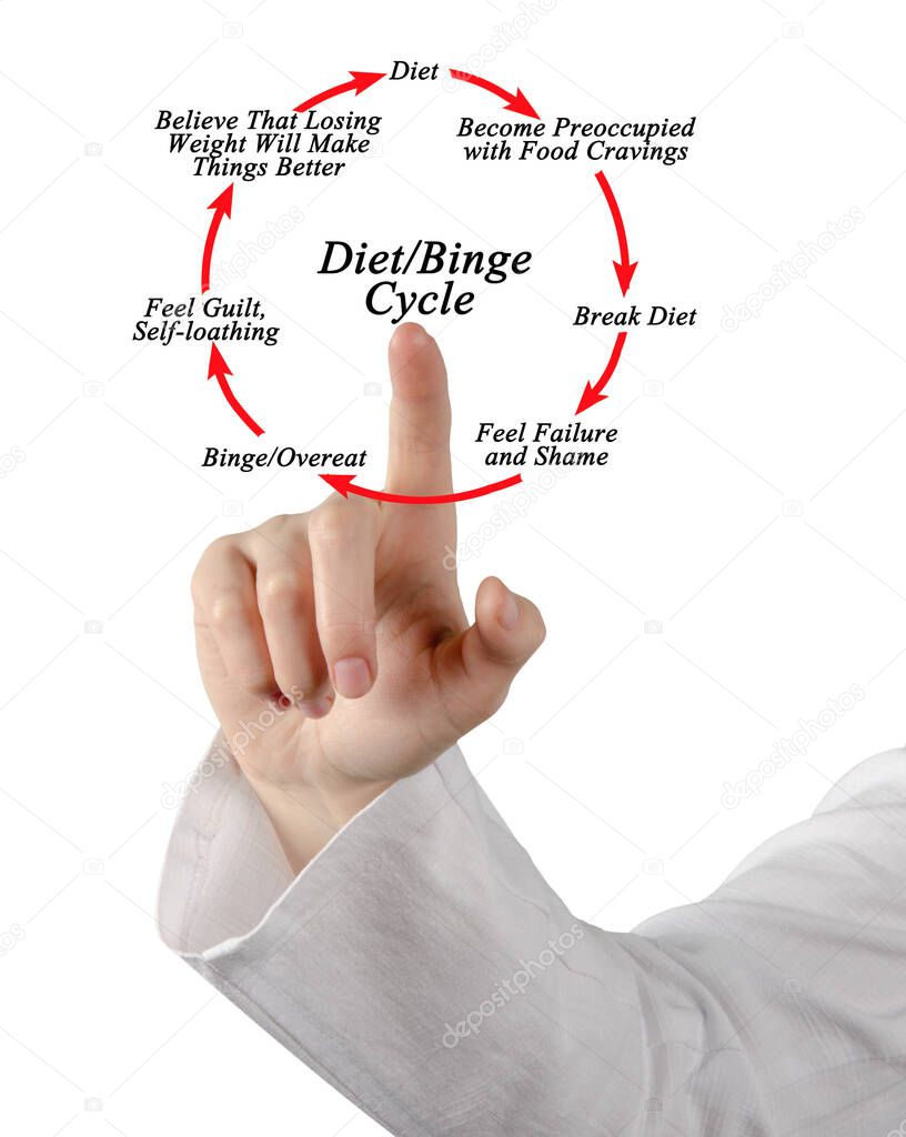 Seven Components of Diet / Binge Cycle