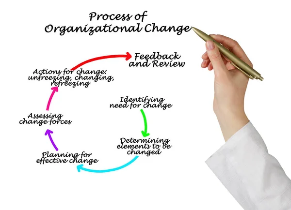 Componentes Del Proceso Cambio Organizacional — Foto de Stock