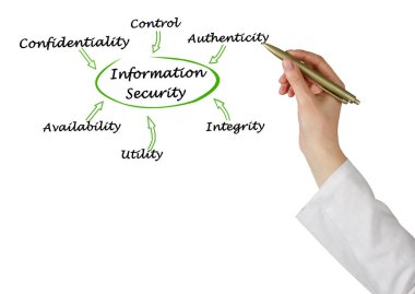 Bilgi Güvenliğinin Altı Bileşeni