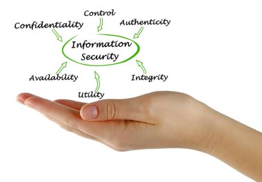 Bilgi Güvenliğinin Altı Bileşeni