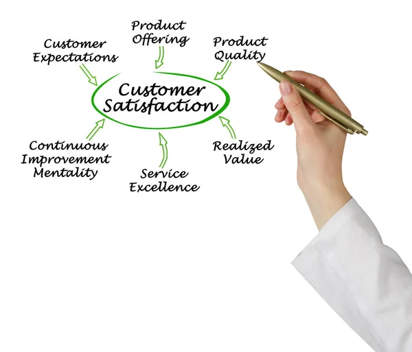 Sei Driver Customer Satisfaction — Foto Stock