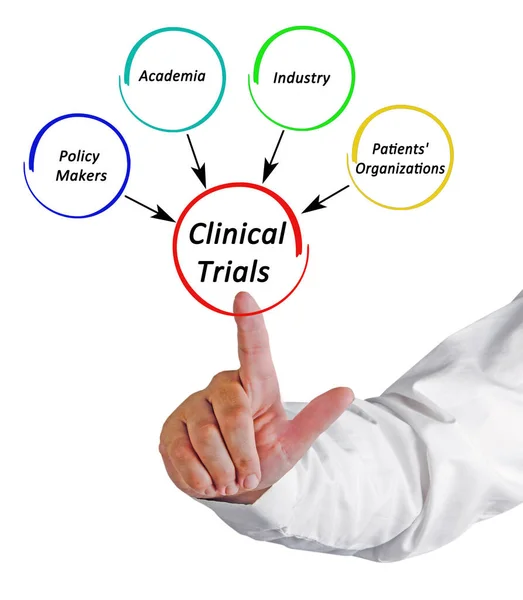 Four Stackeholders Clinical Trials — Stock Photo, Image