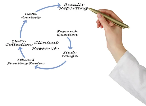 Sex Komponenter Klinisk Forskning — Stockfoto
