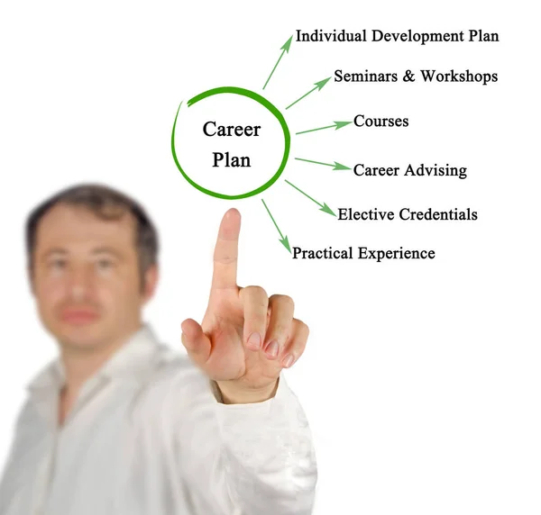 Six Components Career Plan — Stock Fotó