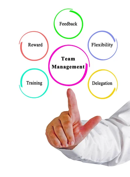 Five Principles Team Management — Fotografia de Stock