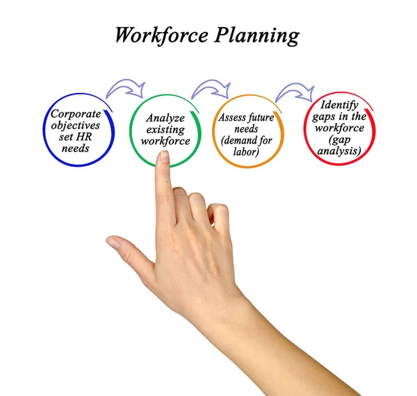 Quatre Composantes Planification Des Effectifs — Photo