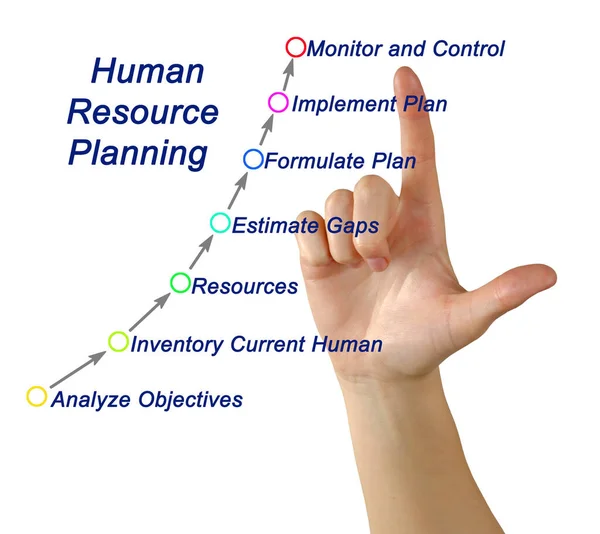 Componentes Planificación Recursos Humanos —  Fotos de Stock