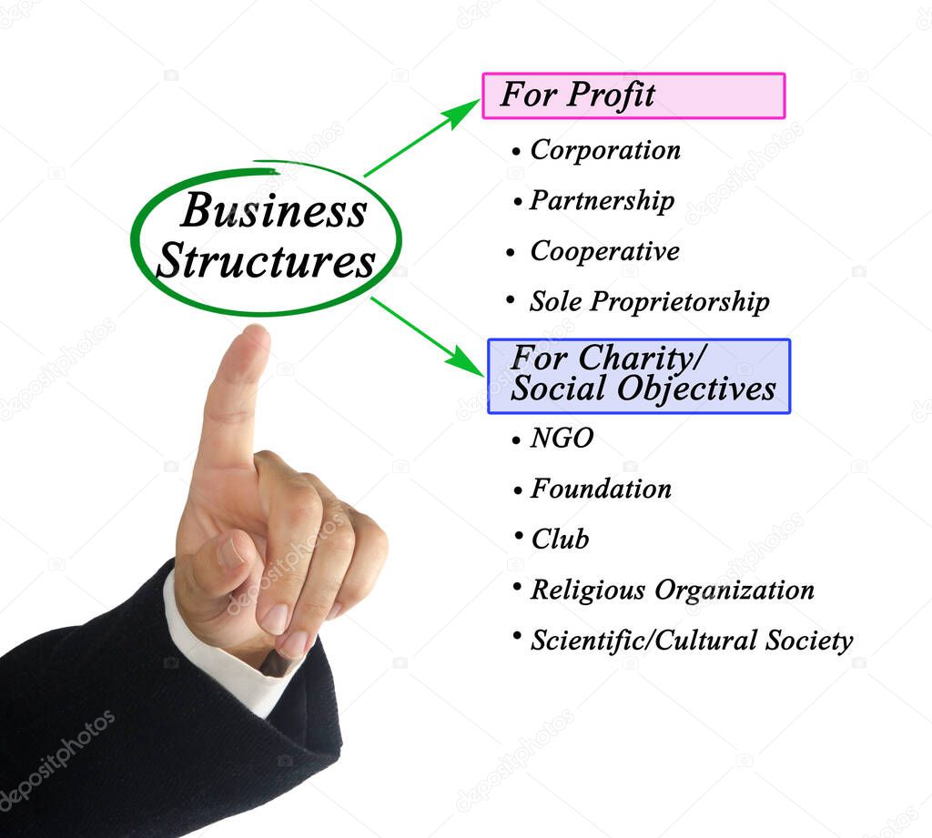Profit and Non-profit Business Structures	
