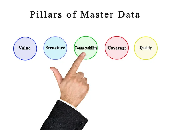 Five Pillars Master Data — Stock Photo, Image