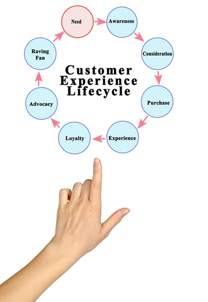 Komponenten Des Customer Experience Lifecycle — Stockfoto